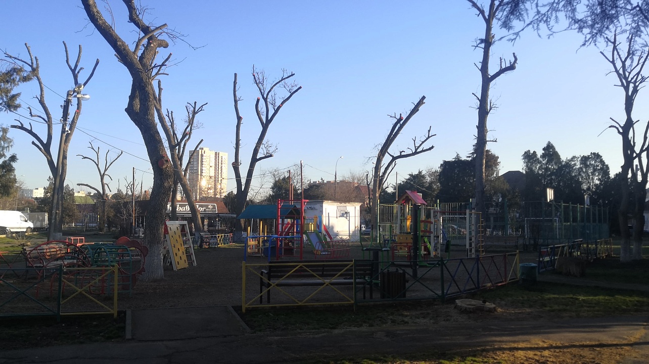 Фото: администрации Центрального округа