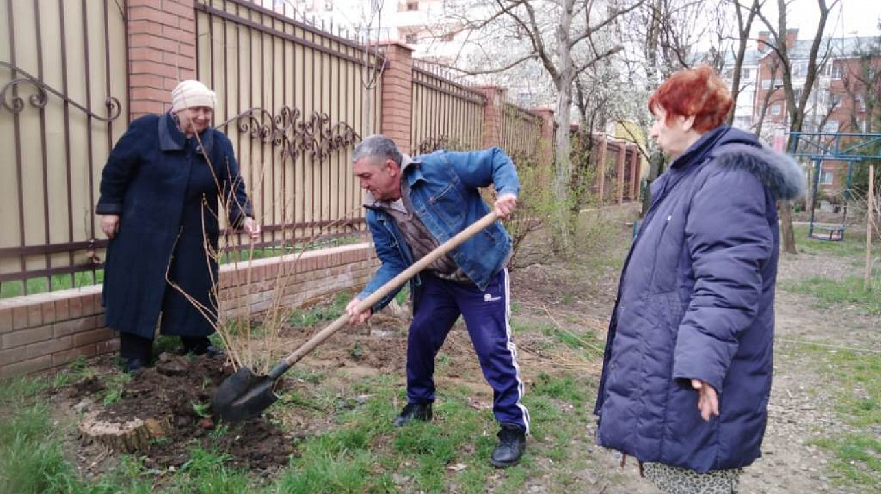 субботник тос.jpeg