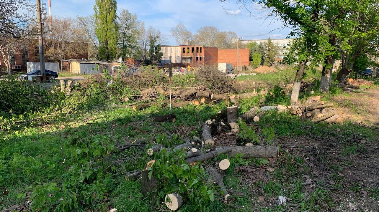 Фото: Пресс-служба администрации Краснодара