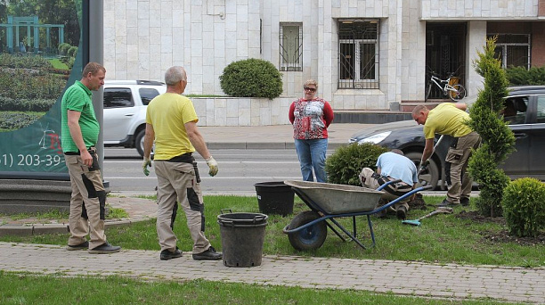 На Александровском бульваре в Краснодаре появятся новые ландшафтные композиции