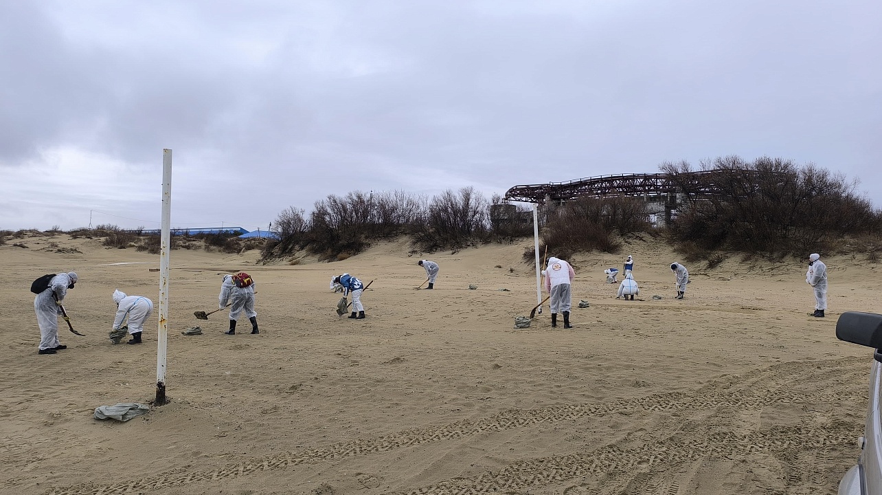 Фото: пресс-служба администрации Краснодара