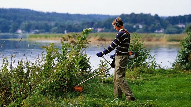Более четырехсот гектаров сорной растительности выкосили в Центральном округе