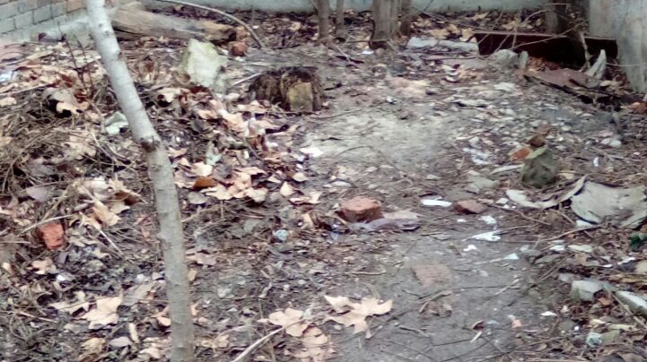 В Западном округе продолжается мониторинг санитарного состояния улиц