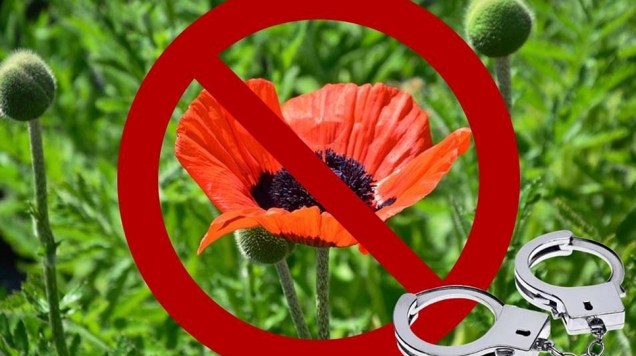 Фото: uzlovskij-r71.gosweb.gosuslugi.ru