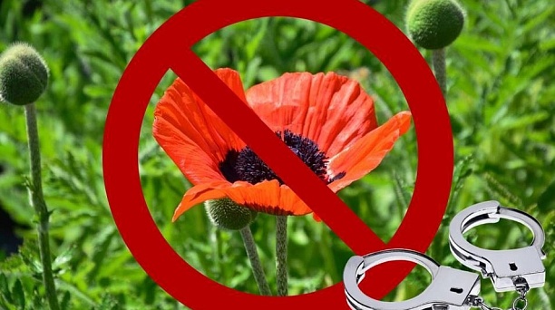 В августе в Краснодаре проходит межведомственная операция «Мак» 