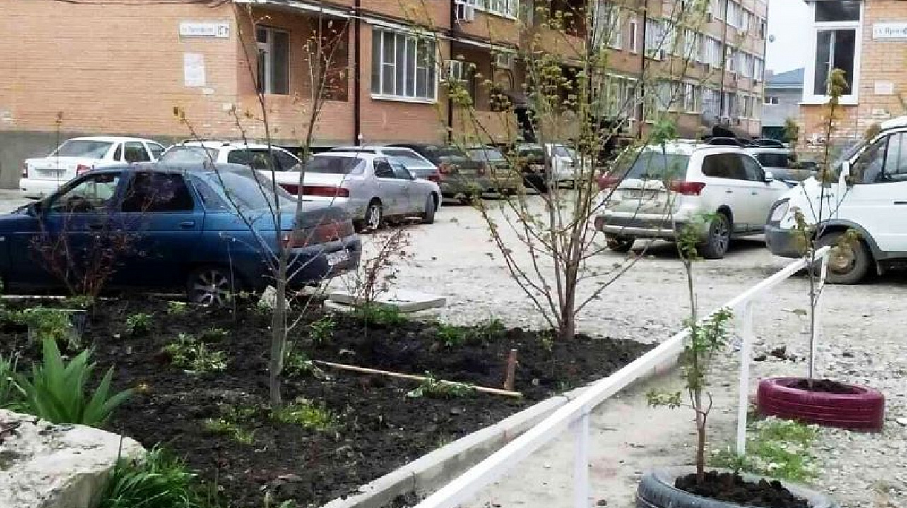 Во Всекубанском субботнике в Краснодаре приняли участие более 120 тыс. человек