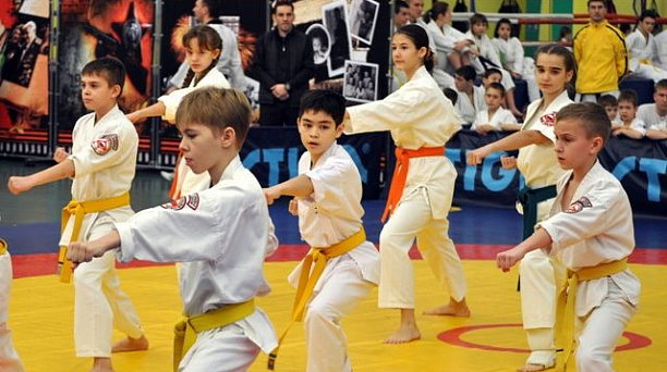 В универсальном комплексе «Екатеринодар» прошел фестиваль боевых искусств «Сыны Отечества»