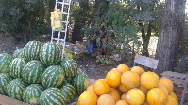 Борьба с несанкционированной торговлей  в Пашковском сельском округе