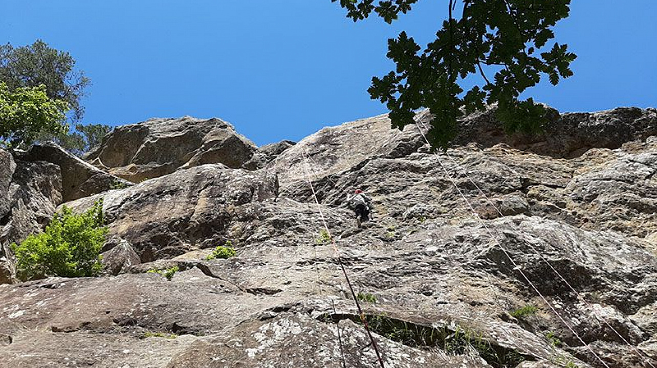 20190530_133312.jpg