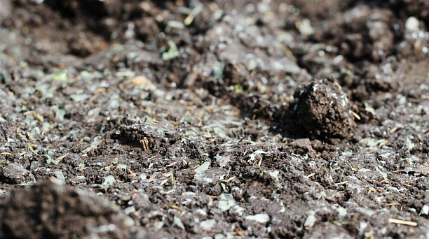 В Краснодаре демонтировали ограждение зеленой зоны на пересечении ул. Постовой и ул. им. Седина