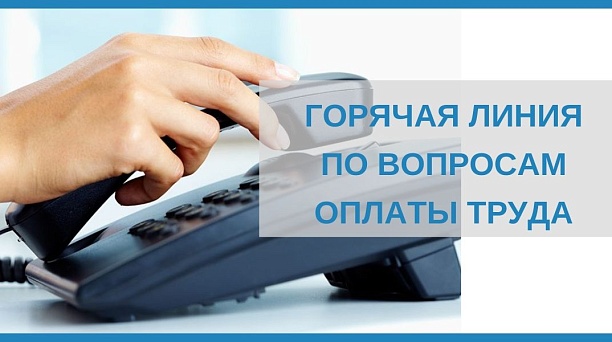 О работе телефонов «горячая линия» по невыплате заработной платы