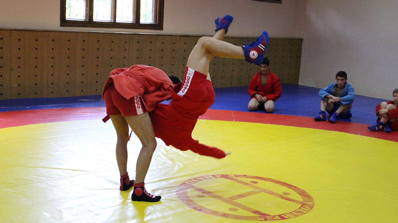 Самбо в ГТО