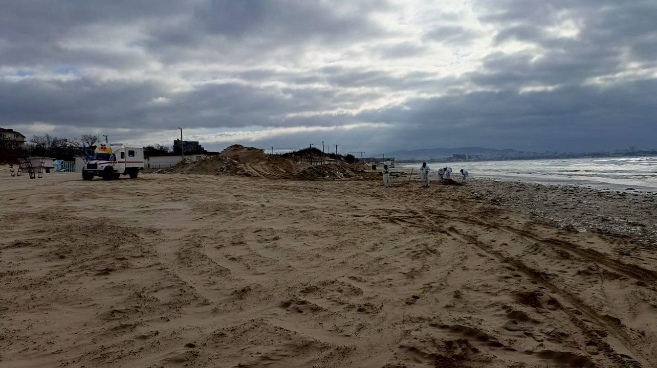 Фото: пресс-служба администрации Краснодара