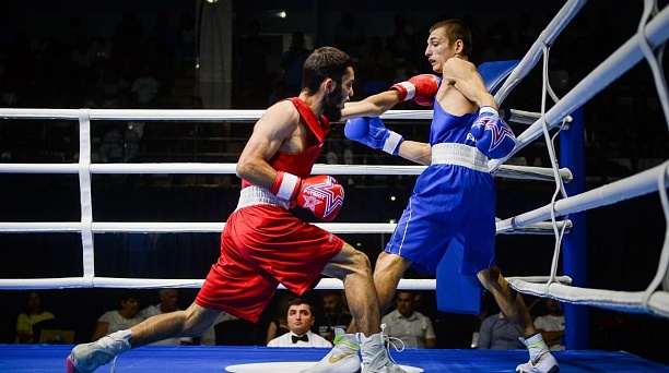 Четыре медали - в копилке краснодарских боксёров