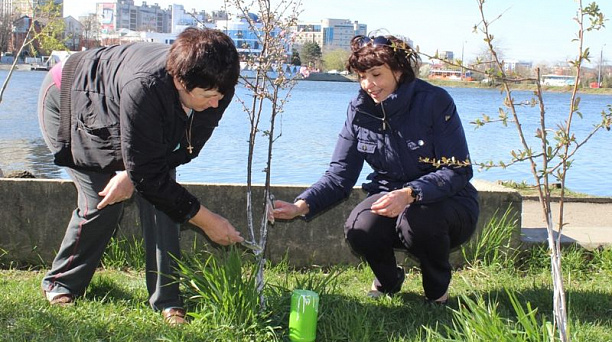 Глава администрации Центрального округа Елена Малова приняла участие в субботнике