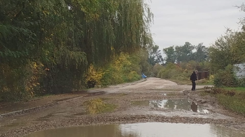 Фото: Сорренти Д.В.