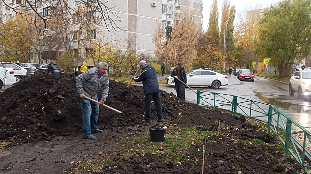   Активисты ТОС привели свои дворы в порядок