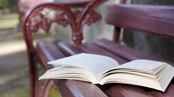 Библиотечные дни в сквере «Фестивальный»