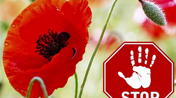 Администрация Центрального округа призывает жителей принять участие в профилактической операции «Мак - 2022»