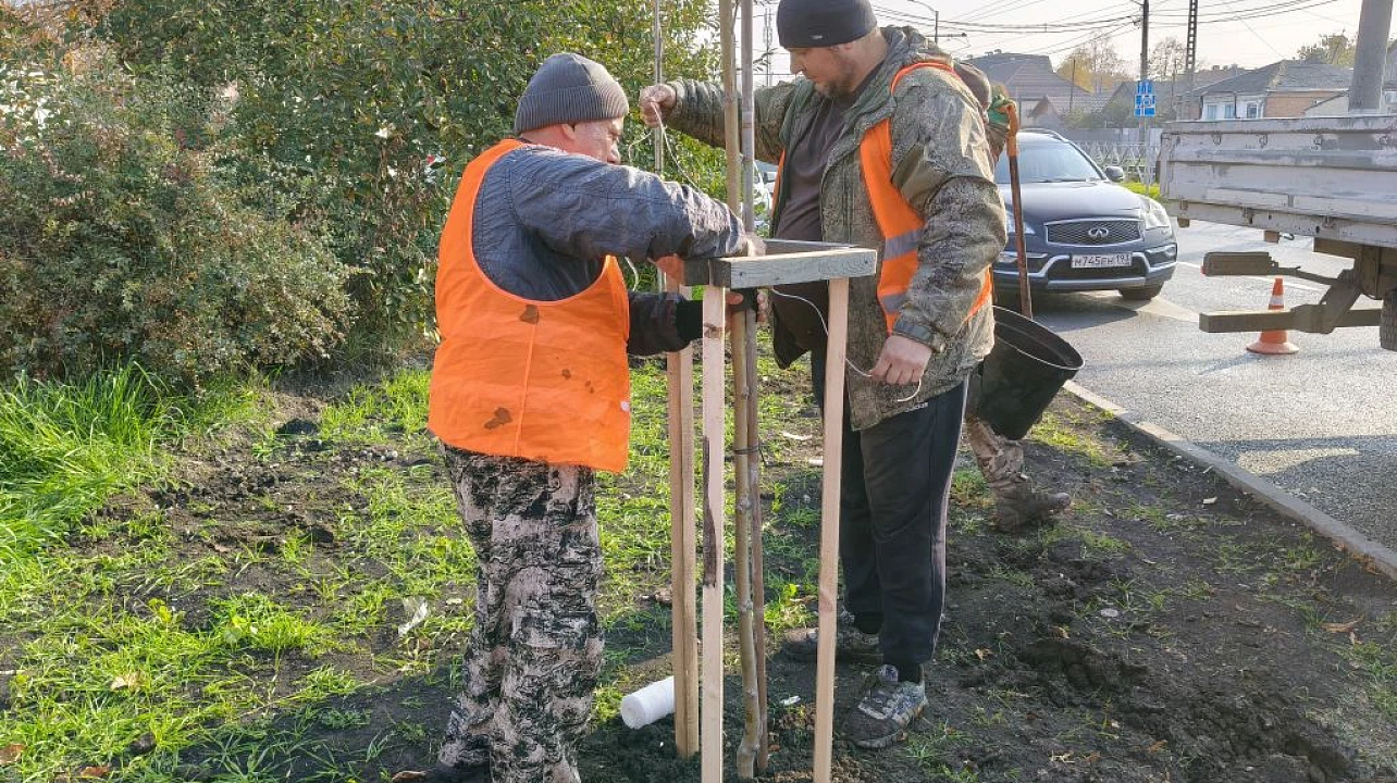 Фото: Пресс-служба администрации Краснодара