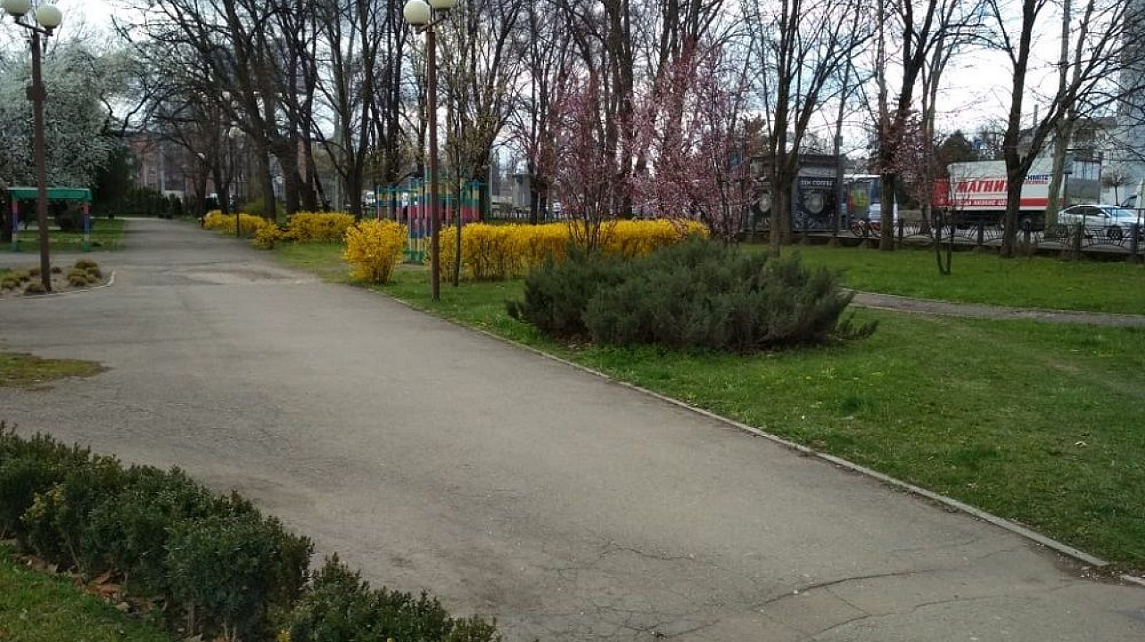 В Краснодаре в 2019 г. высадят более 660 тыс. цветов