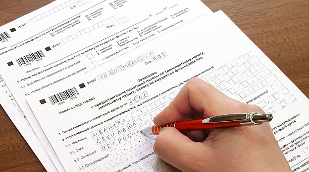 В 2023 году за налоговый период 2022 года налогоплательщики – организации, имеющие право на льготу по земельному и транспортному налогам, представляют в налоговые органы по своему выбору заявление о налоговой льготе