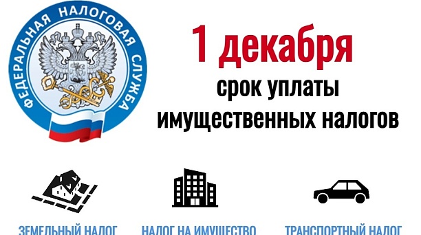 Нужно успеть уплатить налоги не позднее 1 декабря 2025 года