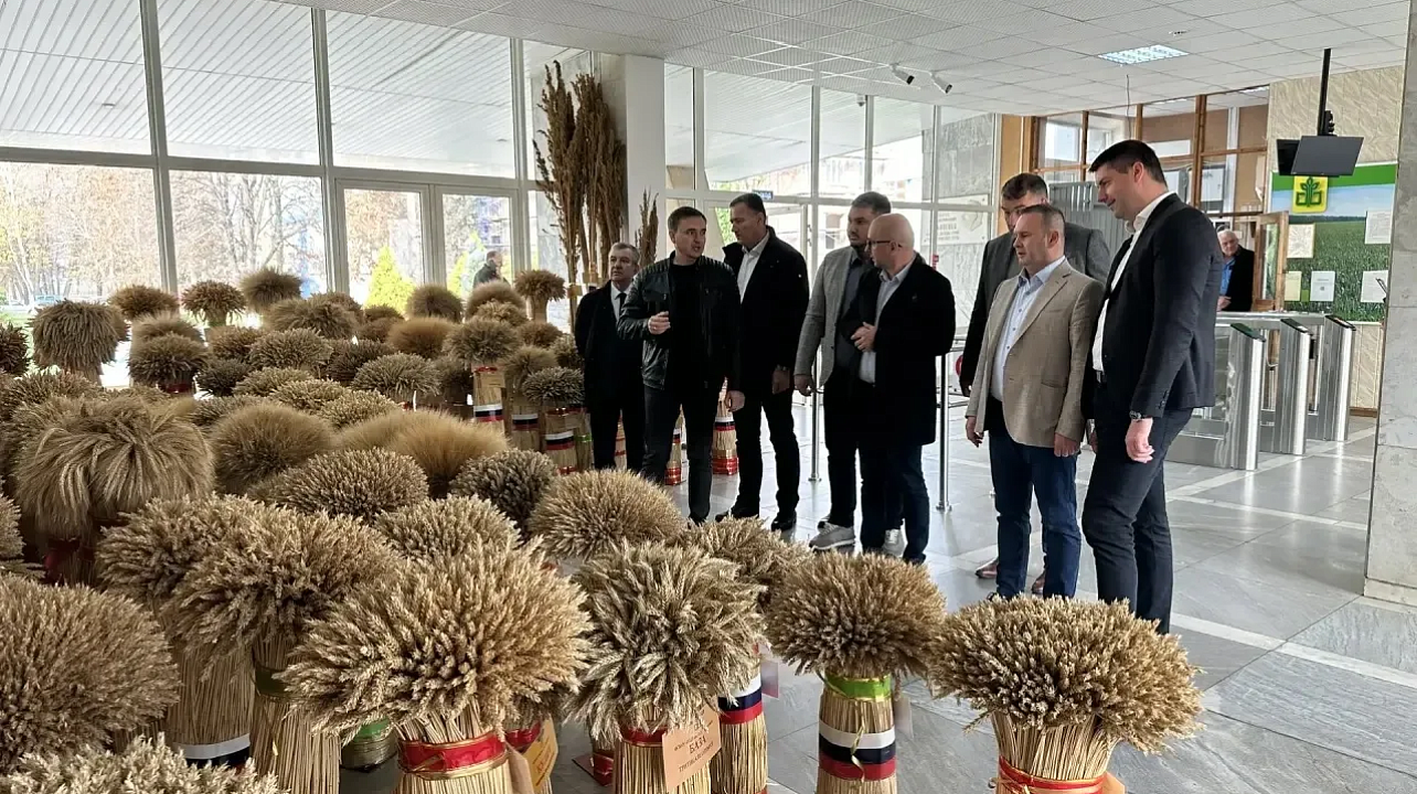 Фото: МТРК "Краснодар"