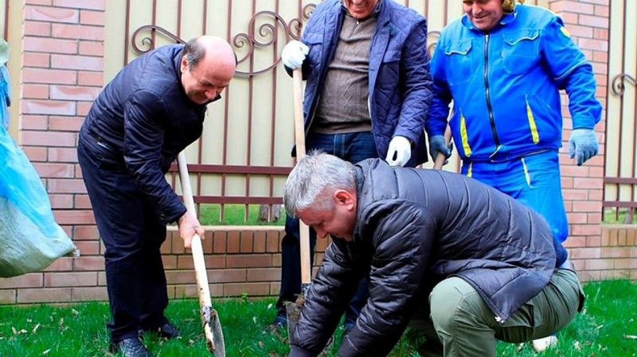 Краснодару - 10 тысяч деревьев.jpg