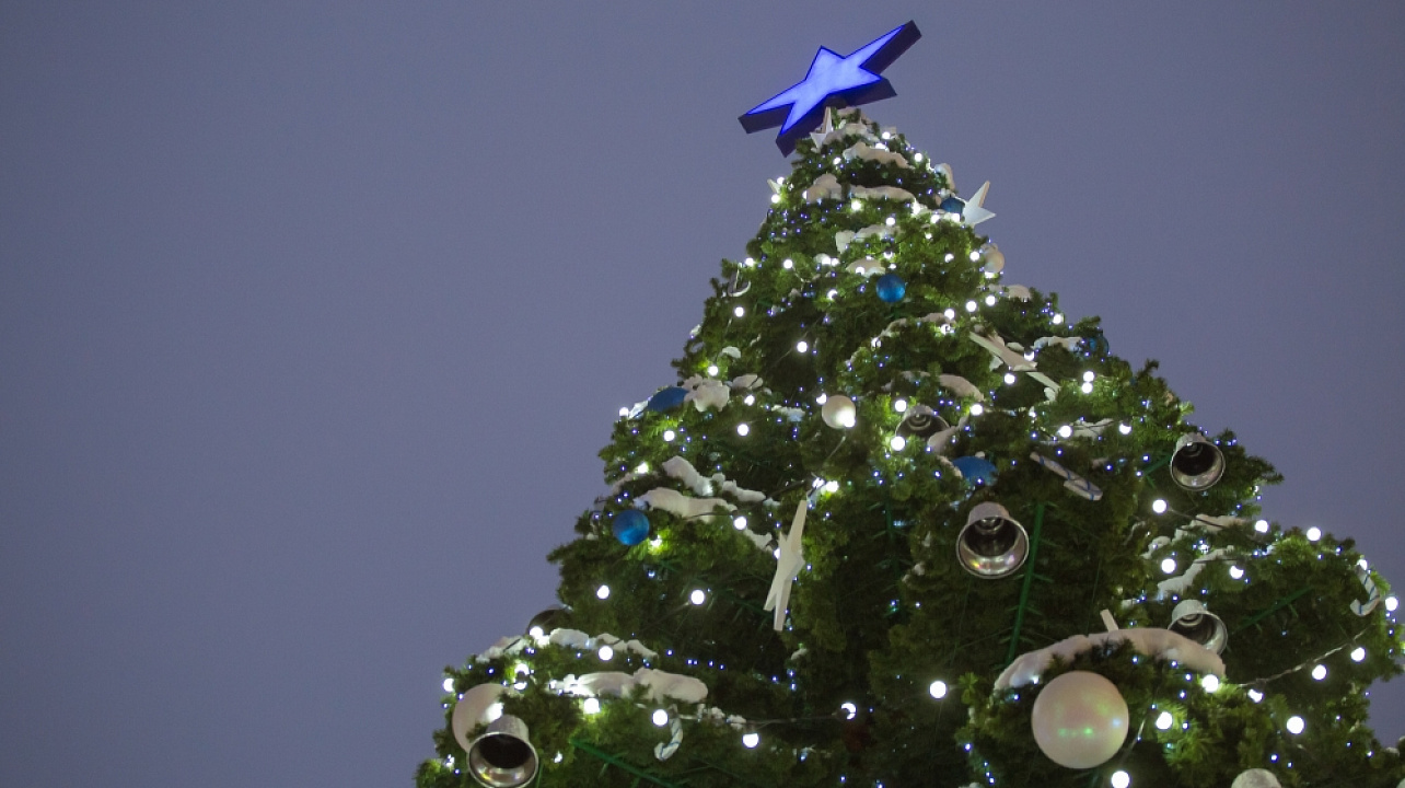 На улицах Краснодара перед новогодними праздниками установят семь новых елей