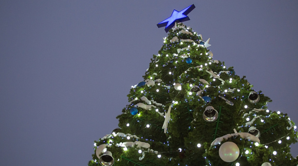 На улицах Краснодара перед новогодними праздниками установят семь новых елей