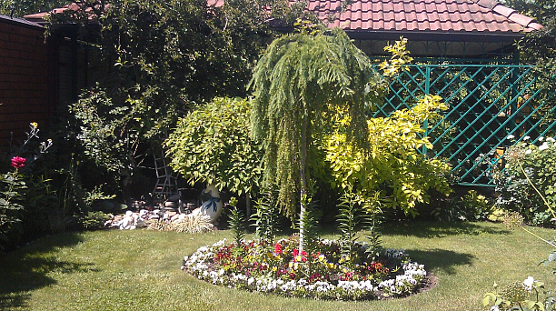 Лучший ТОС выберут в Краснодаре