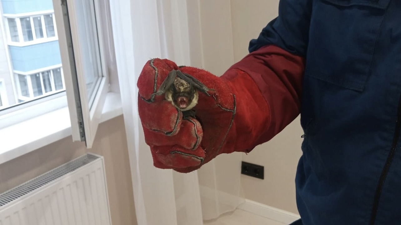 Фото: пресс-служба администрации Краснодара