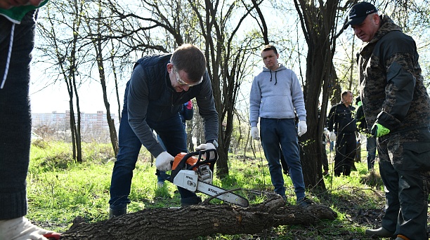 Субботники в Краснодаре: чистые парки, новые деревья, ухоженные дворы и лесополосы