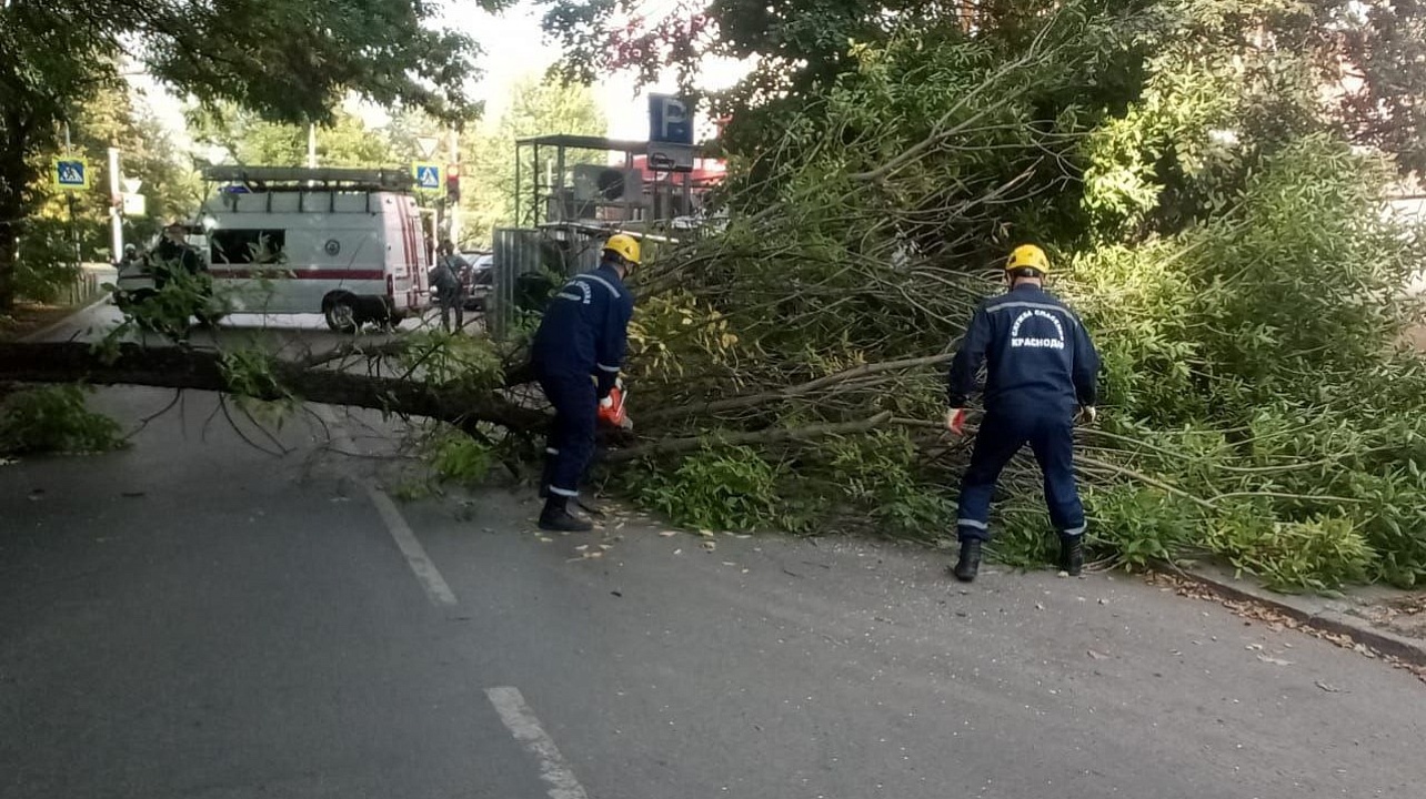 Фото: Пресс-служба администрации Краснодара