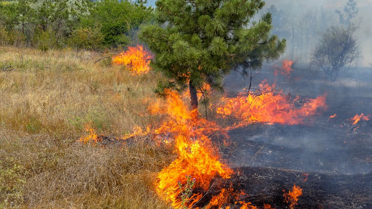 Администрация Западного округа информирует