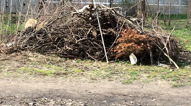 Жители ЖК «Московский» убрали несанкционированную свалку между домами № 19 и 21 по ул. Зиповской
