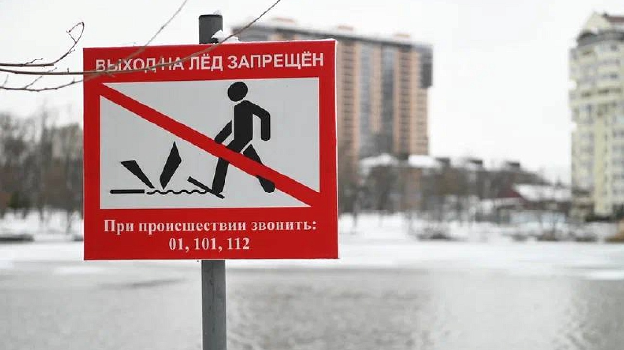 Фото: Пресс-служба администрации Краснодара