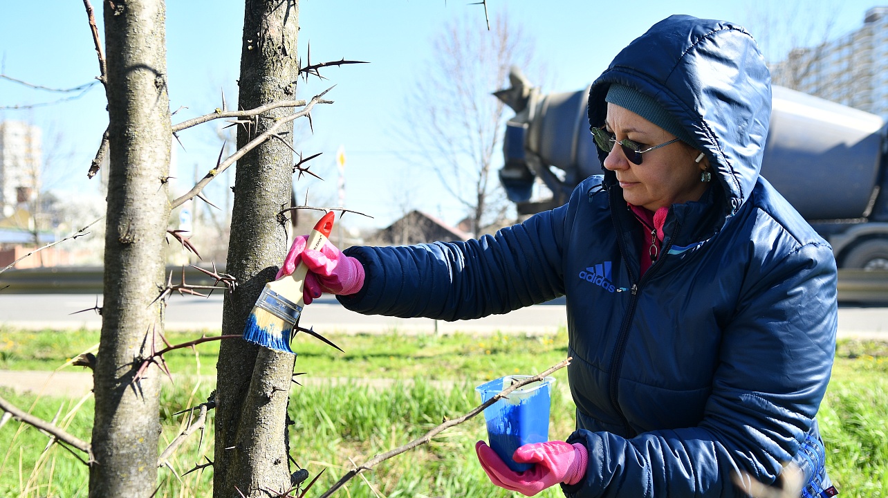 Фото: Александр Райко