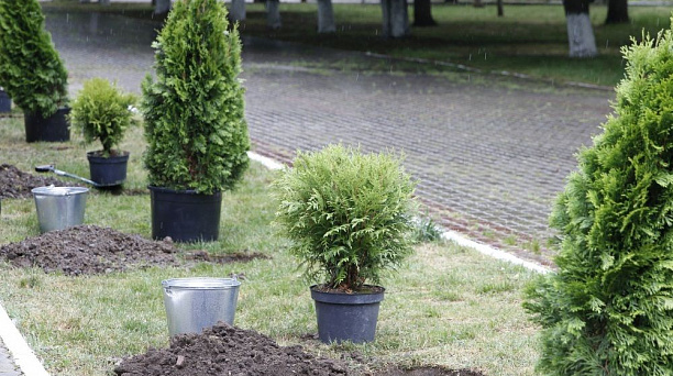 В Краснодаре заложили аллею Русского географического общества