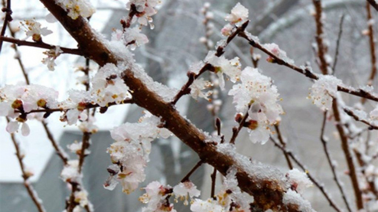 Администрация Западного округа информирует