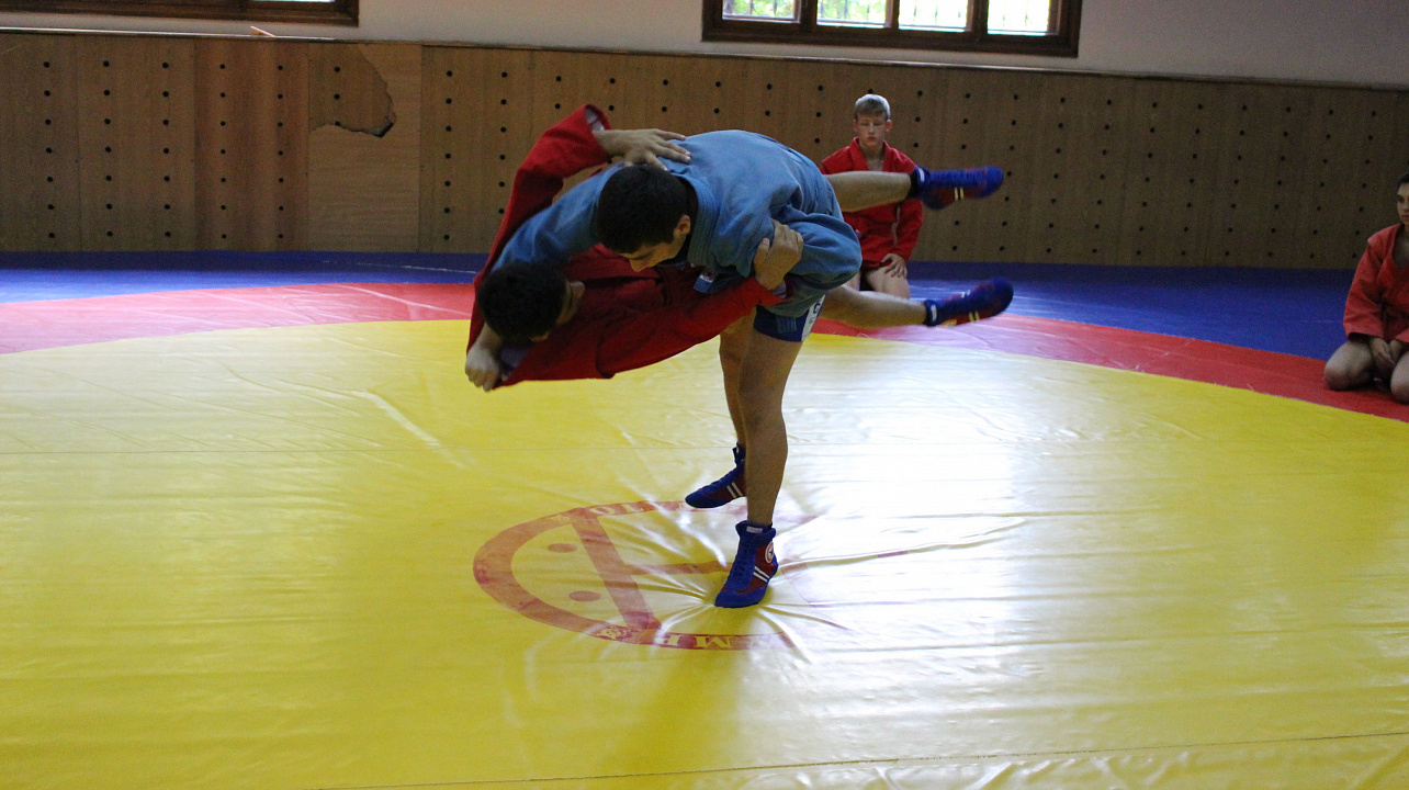 Самбо в ГТО