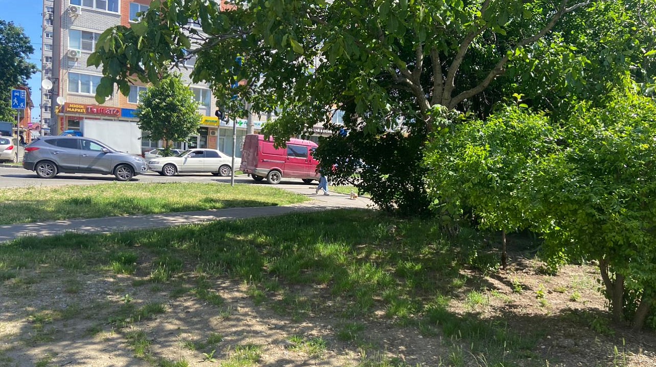 Фото: администрация Центрального округа