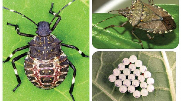 Администрация округа предупреждает!!!