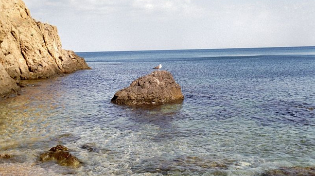 Управление соцзащиты предлагает отдых для детей