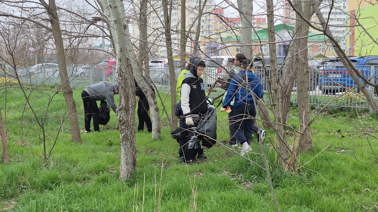 Фото: городская Дума Краснодара