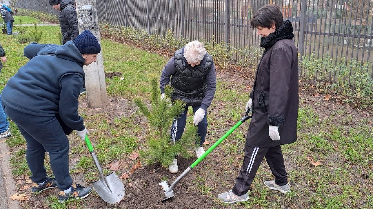 Фото: городская Дума Краснодара