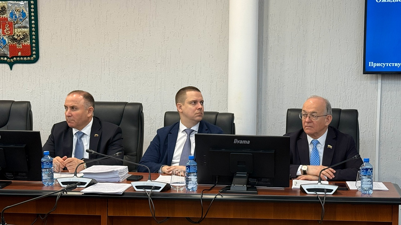 Фото: городская Дума Краснодара