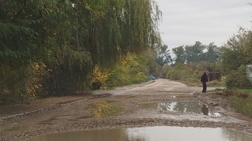 Фото: Зацепина Е.С.