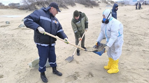 Спасатели и добровольцы из Краснодара вывезли с берега Анапы 60 кубометров отходов за сутки 